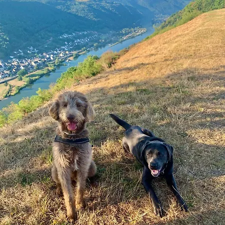 Ferienhaus Lasserg Münstermaifeld