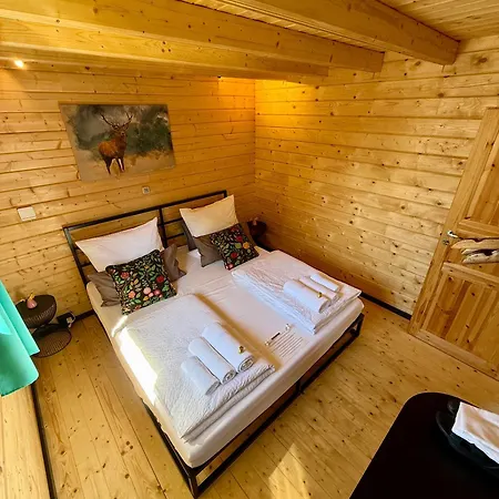 Lasserg Holiday home