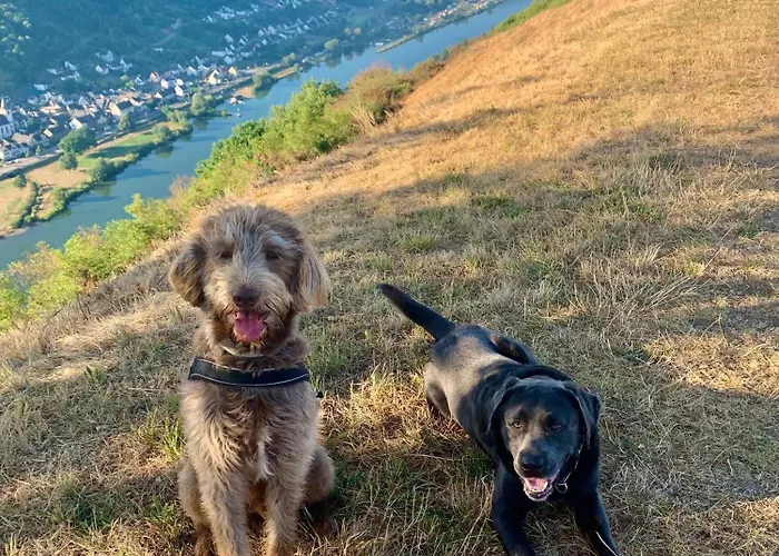 펜션 Lasserg Münstermaifeld